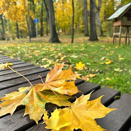 بيت للعطل Town House Ii