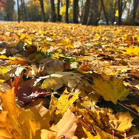 Town House Ii دروسكينينكاي