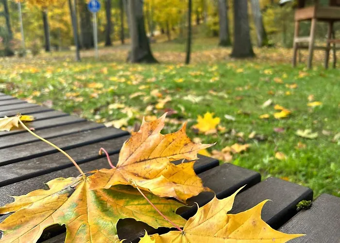 Dom wakacyjny Town House Ii