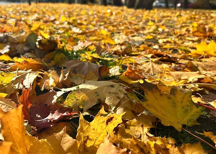 Town House Ii Druskieniki