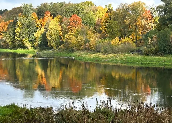 Dom wakacyjny Town House Ii Druskieniki